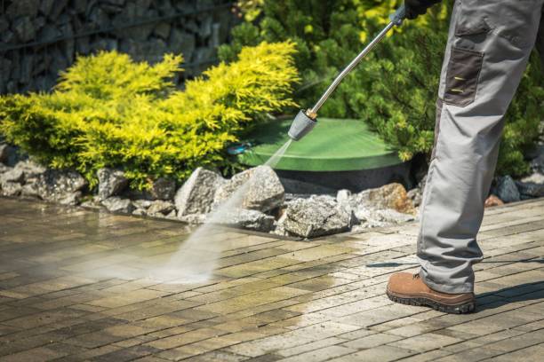 Trusted Ramona, CA Pressure Washing Services Experts