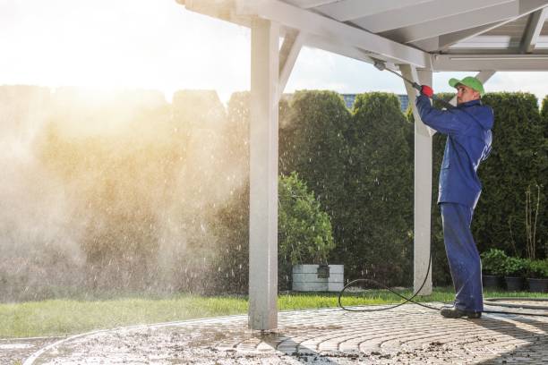 Best Sidewalk and Walkway Cleaning  in Ramona, CA