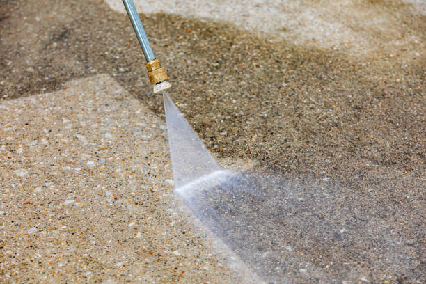 Best Sidewalk and Walkway Cleaning  in Ramona, CA